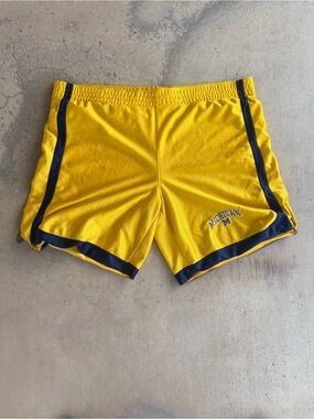 Vintage University of Michigan Wolverines Steve & Barry’s Running Shorts - Large